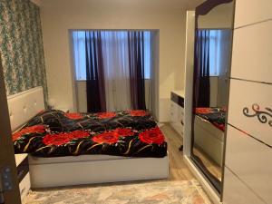 巴库Dream Home的一间小卧室,配有一张床和镜子