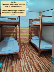 San NarcisoMope Beach Resort的铺有木地板的客房内配有两张双层床。