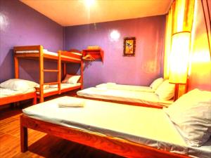 公主港OYO 622 Butterfly Totem Guesthouse的一间设有三张双层床和紫色墙壁的客房