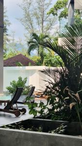 卡马拉海滩CYAN Resort Kamala Beach Apartments Condominiums的庭院设有两把椅子,还有一些植物
