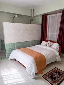 内罗毕Sislink Hotel的一间卧室设有一张大床和一个窗户。