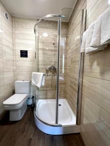 基希讷乌Vila Iris的带淋浴、卫生间和浴缸的浴室