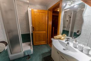 莫济列克罗塞科公寓及康体中心的一间带水槽和淋浴的浴室