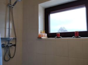 BorkenApartment am See - Borken, Hessen的带淋浴的浴室和窗户。