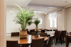 科特卡Hotel Jokipuisto的用餐室配有桌椅和植物