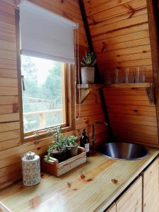斯韦伦丹Gaia A-frame cabin的木制厨房内的水槽,设有窗户