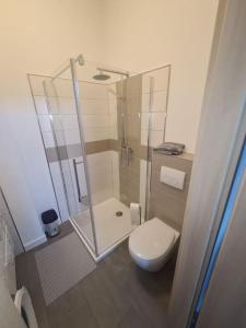 贝恩堡Apartament Suite 2的一间带玻璃淋浴和卫生间的浴室