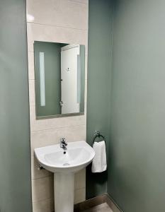 丁格尔丁格尔港B＆B旅馆的浴室设有白色水槽和镜子
