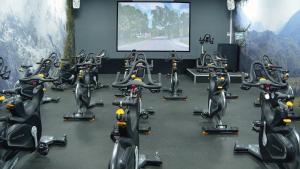 阿施精选布兰德萨奇广场酒店&SPA的健身房,屏幕前有一大堆健身自行车