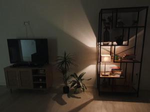 布拉干萨MiMo da Sé的一间配有电视和盆栽植物的客厅