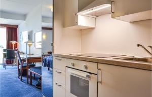 赫尔辛格Nice Apartment In Helsingr With Wifi的厨房配有水槽和台面