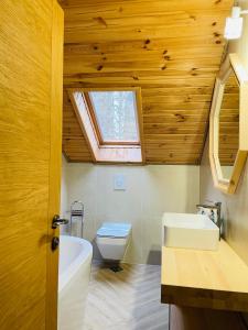 丰杜摩尔多瓦Conacul Baciu的浴室配有盥洗池和天窗。