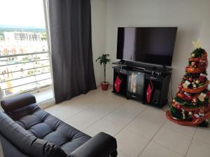 佩雷拉Habitación privada con vista a la ciudad的客厅配有圣诞树和电视