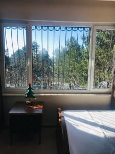 ÇekirgeChalet 20 Min Far To Uludag Ski Resort的一间卧室,窗户上挂着圣诞树