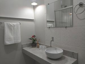 阿雷格里港Aconchego e tranquilidade junto ao H. Mãe de Deus的白色的浴室设有水槽和镜子