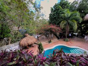 埃尔扎伊诺Lodge Cacao的一个带草伞和树木的度假游泳池