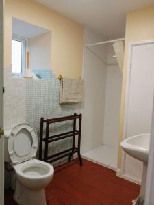 廷塔杰尔Dolphins Backpackers的浴室配有卫生间、淋浴和盥洗盆。
