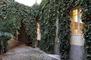 帕尔马Palazzo Liberati Apartments的窗户建筑的常春藤覆盖的墙壁