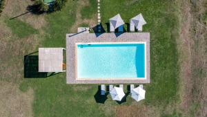 Montelucci内部或周边泳池景观