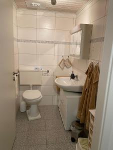 特里滕海姆Ferienhaus Elisa的一间带卫生间和水槽的浴室