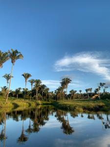 北瓜拉西亚巴Chalés Recanto的一条种有棕榈树和蓝天的河流