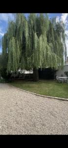Lailly-en-ValGite des Colverts的下方有野餐桌的大树