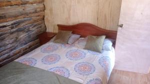 库里科Cabaña Don Pepe, en Estancia Don Domingo的一张带木制床头板和枕头的床