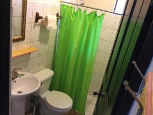 La GaritaVillas el Cenizaro的一间带绿色淋浴帘和卫生间的浴室