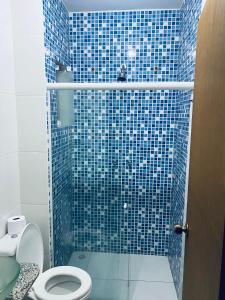 伊瓜苏Pousada 277的浴室设有蓝色瓷砖淋浴和卫生间