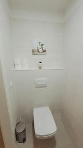 布达佩斯DN Green apartment的白色的浴室设有卫生间和垃圾桶