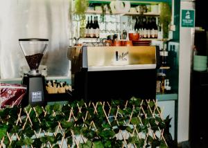 伊萨山Nightcap at Barkly Hotel的厨房配有带搅拌机和植物的柜台