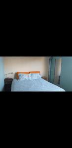 梅洛Cabaña Thaqu的一间卧室配有一张带蓝色棉被的床