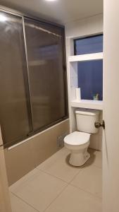 伊基克Casa dos dormitorios的一间带卫生间和玻璃淋浴间的浴室