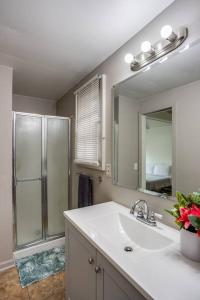 罗切斯特~Hot Tub~ in a Quiet Home near UofR/Dwnt/Aiprt/RIT的一间带水槽、镜子和淋浴的浴室