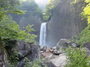 妙高池の平温泉 ロッジ コクハ的森林中的瀑布,靠近岩石和树木