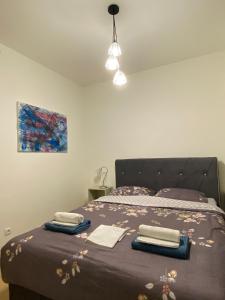 贝尔格莱德Aurora 21的一间卧室配有一张床,上面有两条毛巾