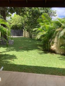 马哈拉贾马GREEN Palace的种植了绿色草和棕榈树的院子