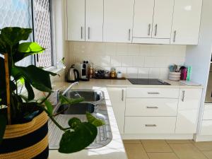 纳拉布赖Downtown Narrabri的厨房配有白色橱柜和植物水槽
