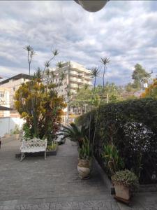 里约热内卢Casa aconchegante em Vila Valqueire的公园,公园有长凳和植物,建筑