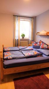 Pension Schwarze Berge的卧室设有两张单人床和窗户。