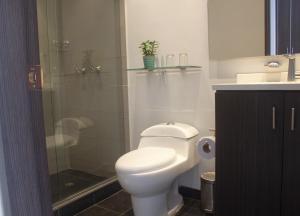 波哥大104艺术套房蓝色大门酒店 的一间带卫生间和玻璃淋浴间的浴室