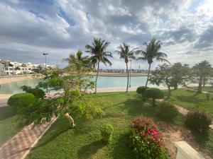 杜拉特阿拉尔شالهيات درة العروس的享有棕榈树游泳池和海滩的景致。