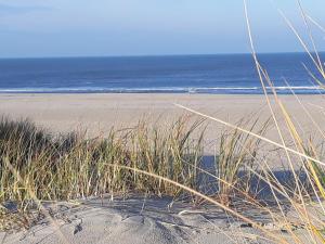 巴尔特鲁姆Seevilla Wietjes Whg 2的一片高大的草地和海洋海滩