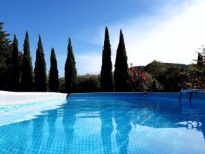 耶尔Lumineux deux pièces en rez de jardin的一座绿树成荫的蓝色游泳池