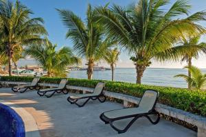 坎昆Amara, depa con vista al mar的一排长椅,长满了棕榈树和大海