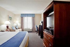 纽波特纽斯纽波特纽斯智选假日酒店的配有一张床和一台平面电视的酒店客房