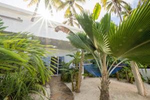 吉汶瓦Surfescape Zanzibar的一座种有棕榈树和白色房子的花园