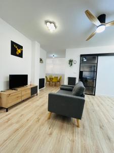阿尔巴塞特Industrial -Apartamentos Birdie-的带沙发和平面电视的客厅