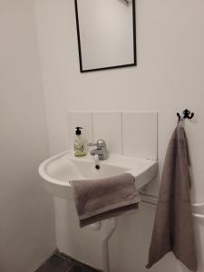 KulltorpBokskogens Guesthouse的一间带水槽、镜子和毛巾的浴室