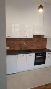 新松奇Komfortowy apartament w centrum Nowego Sącza的厨房配有白色橱柜和水槽